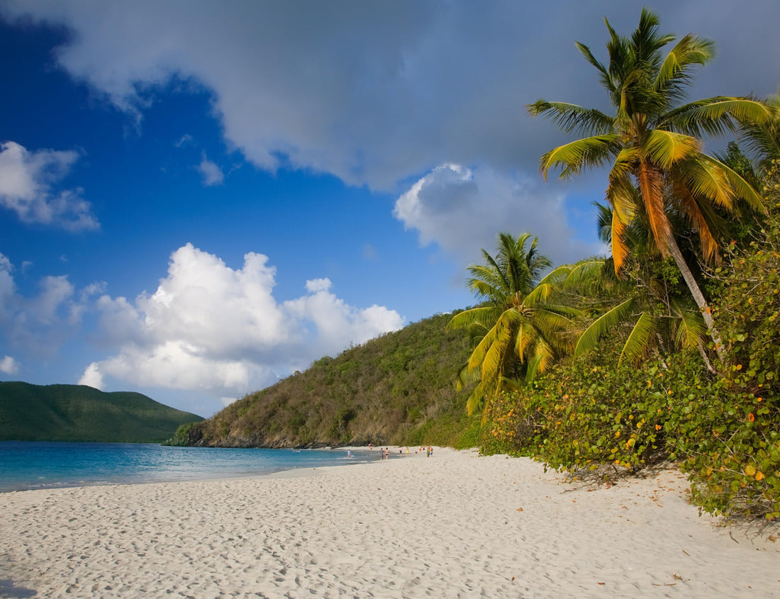 Noah Jigsaw Puzzle Cinnamon Bay Beach in the Virgin Islands National Park on the Caribbean island of St. John in the US Virgin Islands 1000 pieces