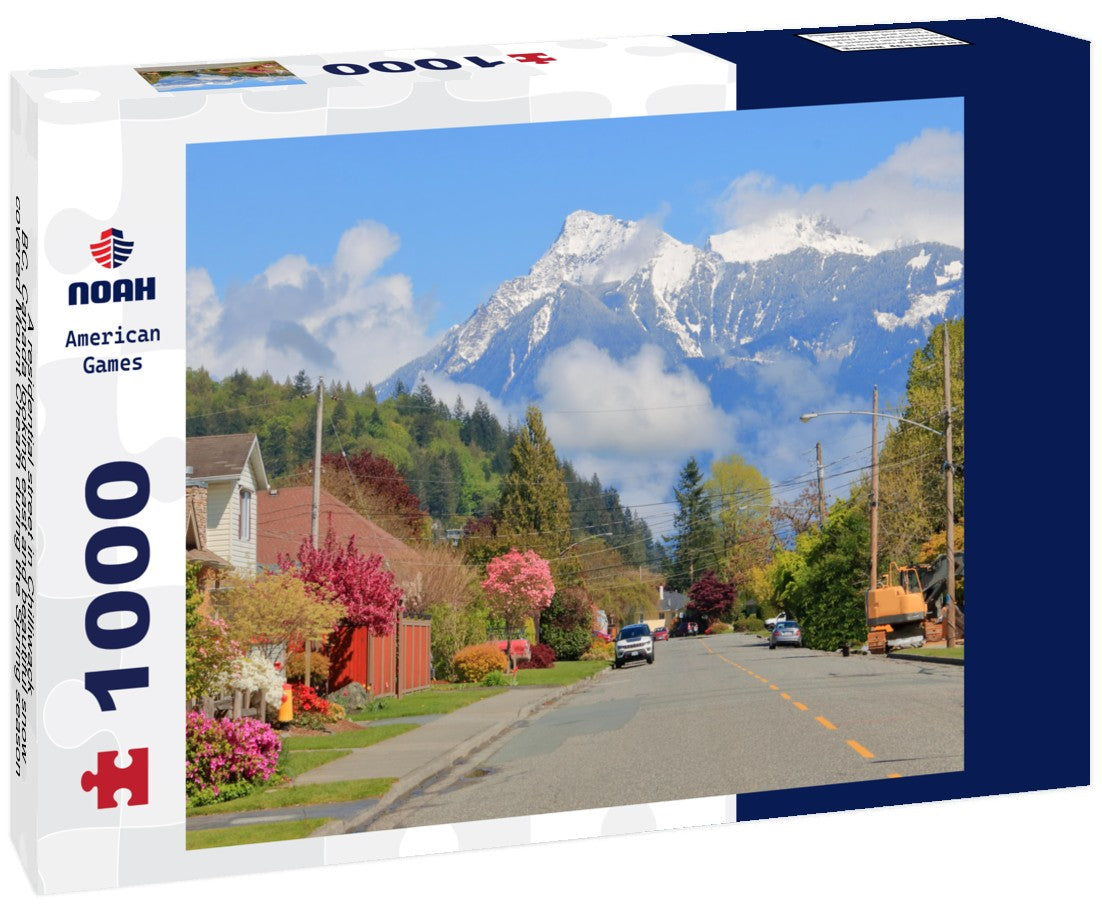Noah Jigsaw Puzzle A residential street in Chilliwack, BC, Canada looking east and beautiful snow covered Mount Cheam during the Spring season 1000 pieces