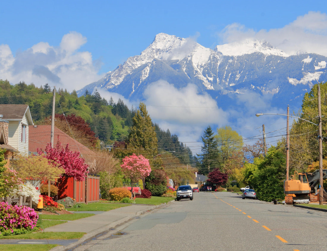 Noah Jigsaw Puzzle A residential street in Chilliwack, BC, Canada looking east and beautiful snow covered Mount Cheam during the Spring season 1000 pieces