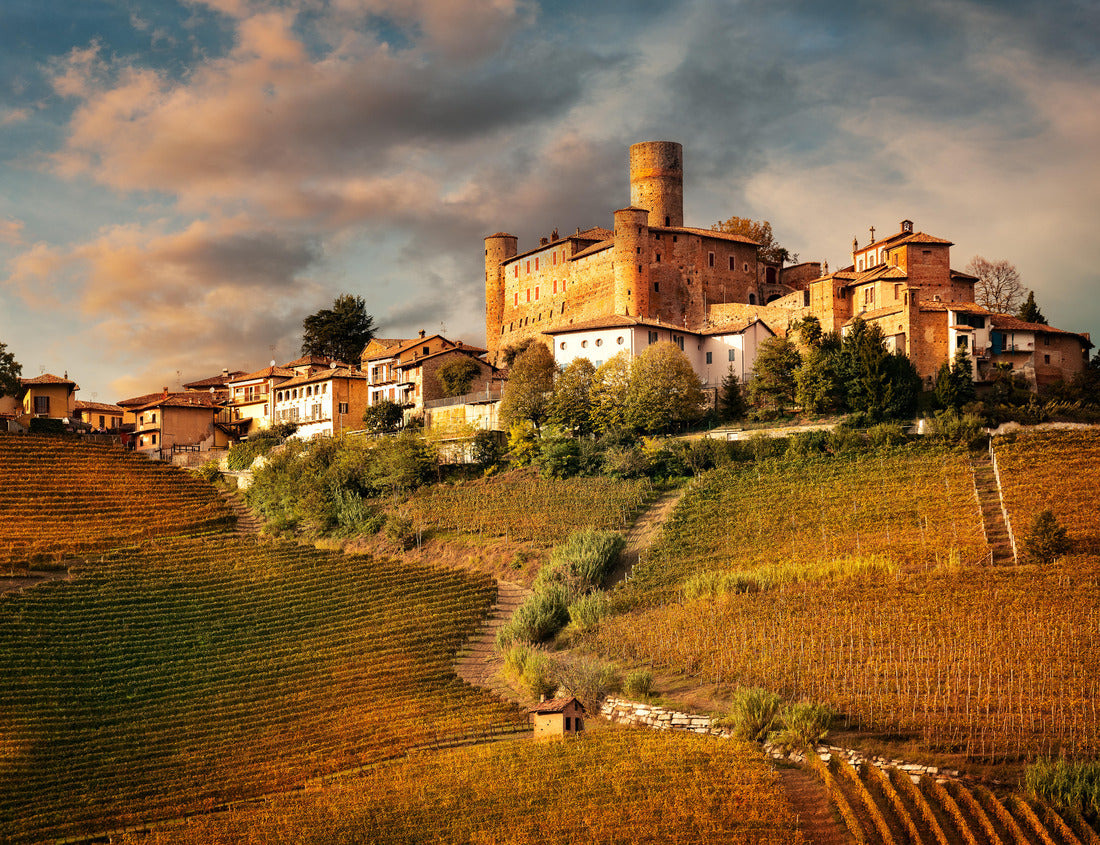 Noah Jigsaw Puzzle Castiglione Faletto, village in Barolo wine region, Langhe, Piedmont, Italy 1000 pieces