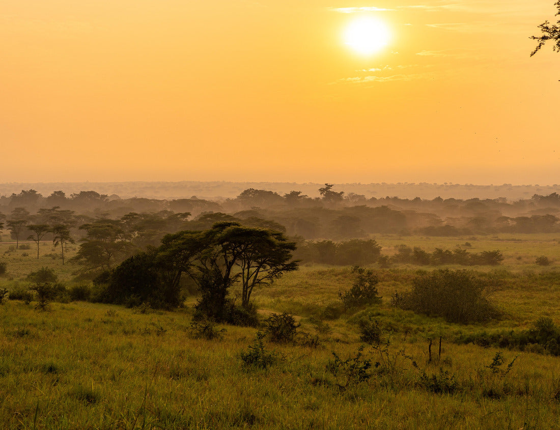 Noah Jigsaw Puzzle Musytic sunrise in the savannah of Uganda 1000 pieces