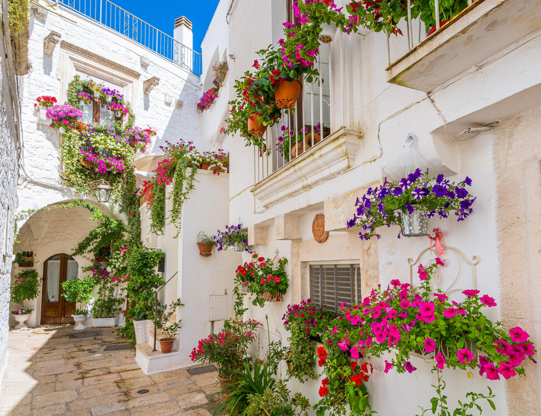 Noah Jigsaw Puzzle Beautiful view in the small town of Cisternino, in the province of Brindisi, Puglia (Apulia), Italy 1000 pieces
