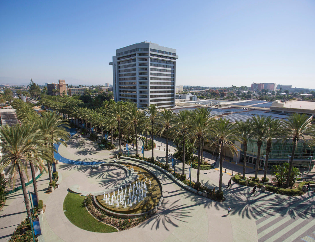 Noah Jigsaw Puzzle Elevated daytime view of the Anaheim, California skyline 1000 pieces