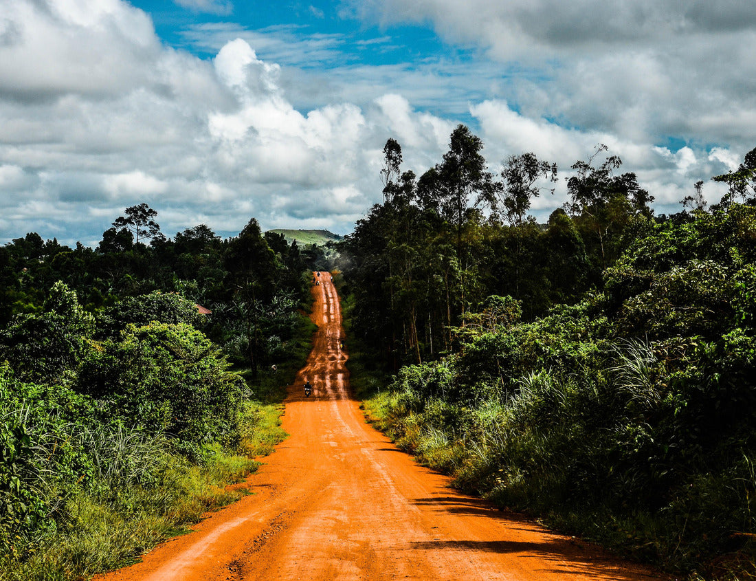 Noah Jigsaw Puzzle From Kabale to Entebbe on the road 1000 pieces