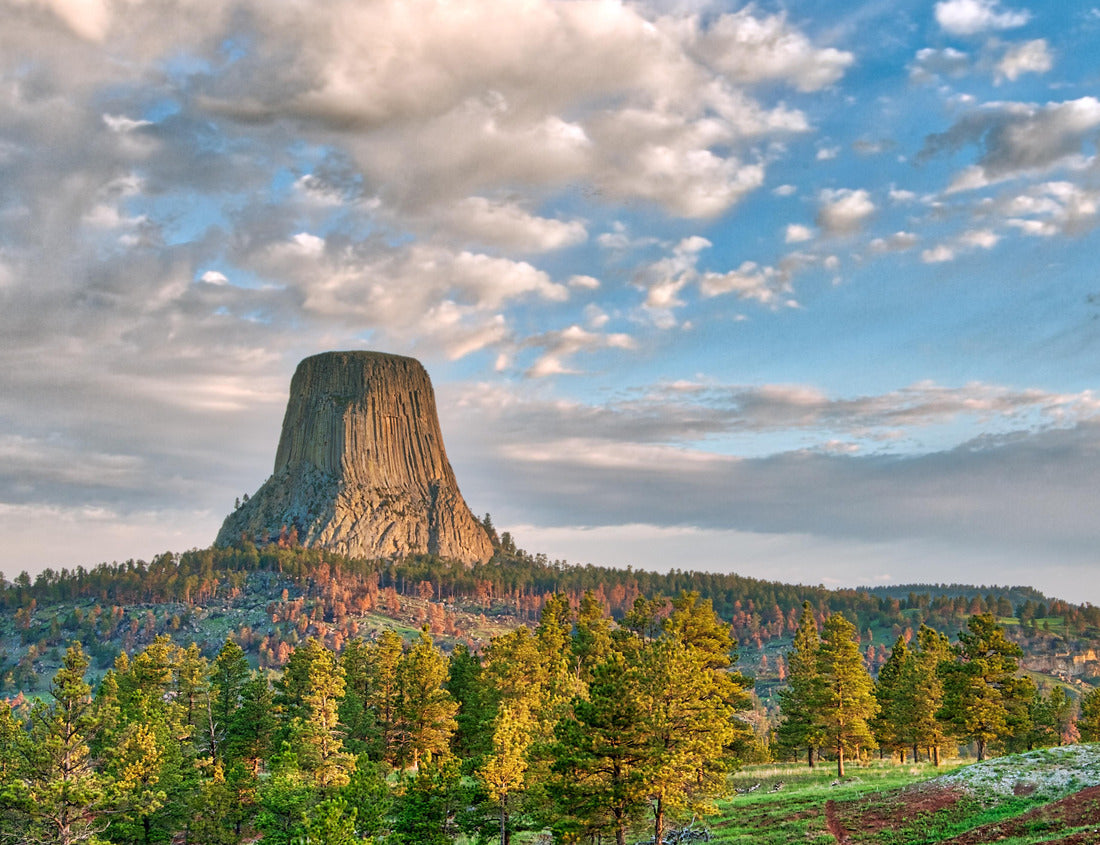 Noah Jigsaw Puzzle Devil's Tower National Monument in Wyoming Under the Early Morning Cloudy Sky with the forest in the foreground 1000 pieces