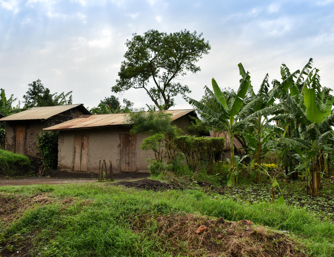 Noah Jigsaw Puzzle House and Banana Plantation in Rural Uganda 1000 pieces