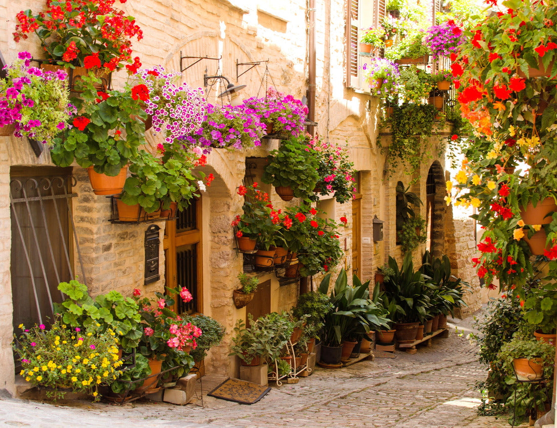 Noah Jigsaw Puzzle Medieval street of Spello decorated with flowers. Festival of flowers. Italy 1000 pieces