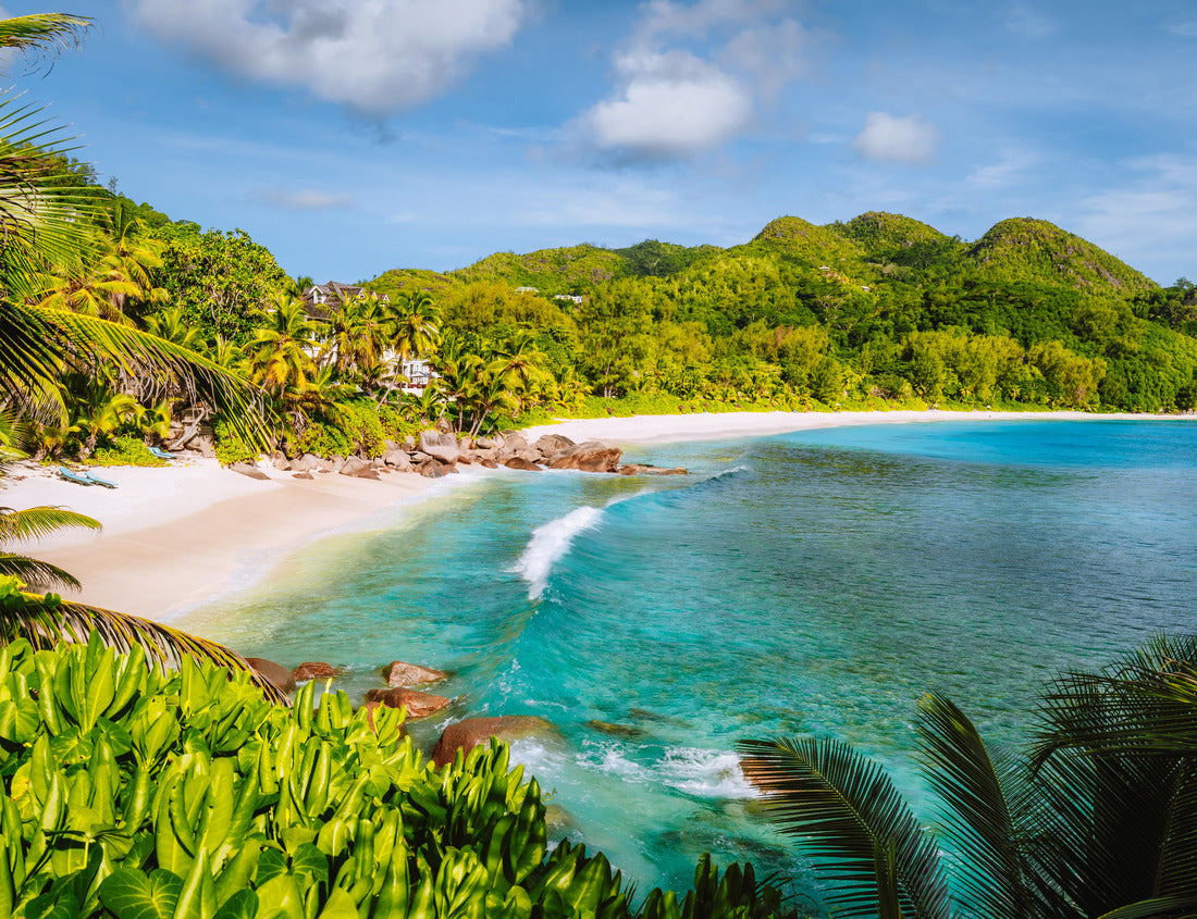 Noah Jigsaw Puzzle Mahe Island, Seychelles. Holiday vocation on the beautiful exotic Anse Intendance tropical beach. Ocean wave rolling towards sandy beach with coconut palm trees 1000 pieces