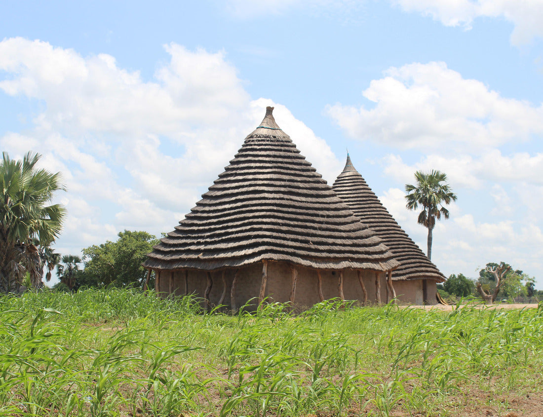 Noah Jigsaw Puzzle A hut in the village in South Sudan 1000 pieces