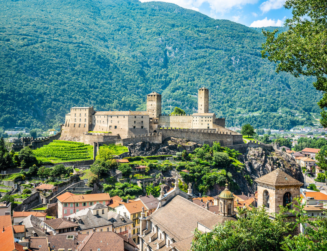 Noah Jigsaw Puzzle Bellinzona Museum Castelgrande Castle 1000 pieces