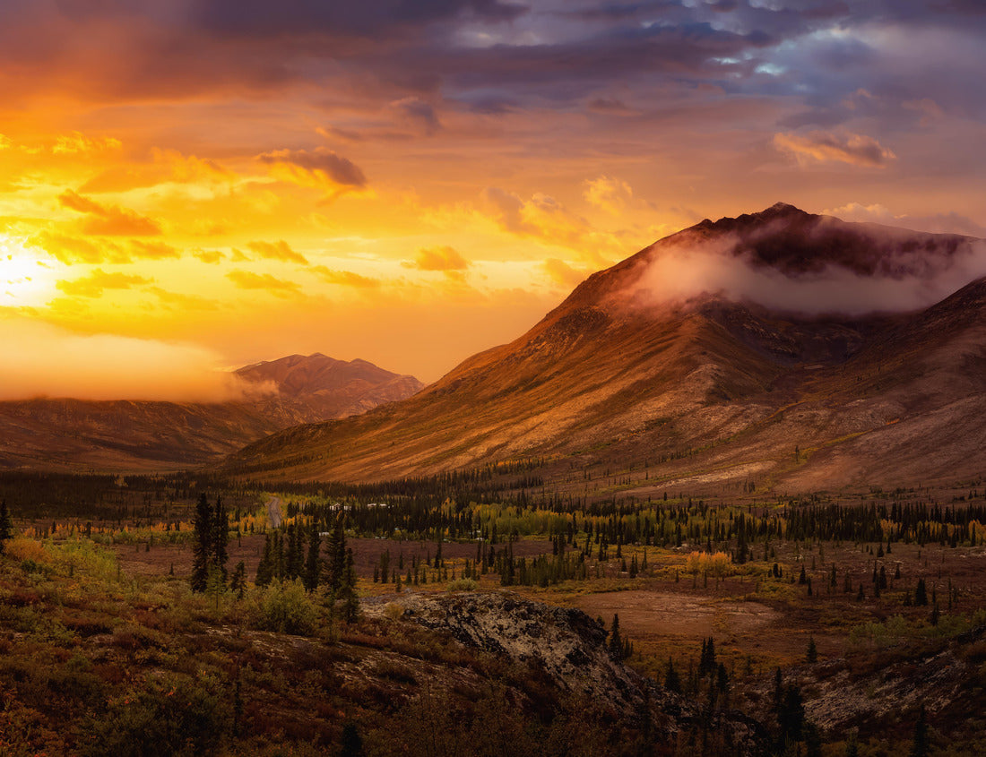 Noah Jigsaw Puzzle Beautiful panoramic view of colorful autumn forest and mountains in Tombstone. Sunset or Sunrise Sky Composite. Tombstone Territorial Park, Yukon, Canada 1000 pieces