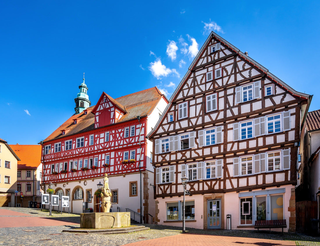 Noah Jigsaw Puzzle Backnang town hall, Baden-Württemberg, Germany 1000 pieces