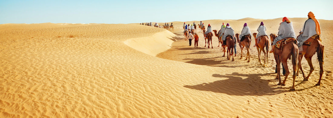 Noah Jigsaw Puzzle Desert of the Sahara panorama 1000 pieces
