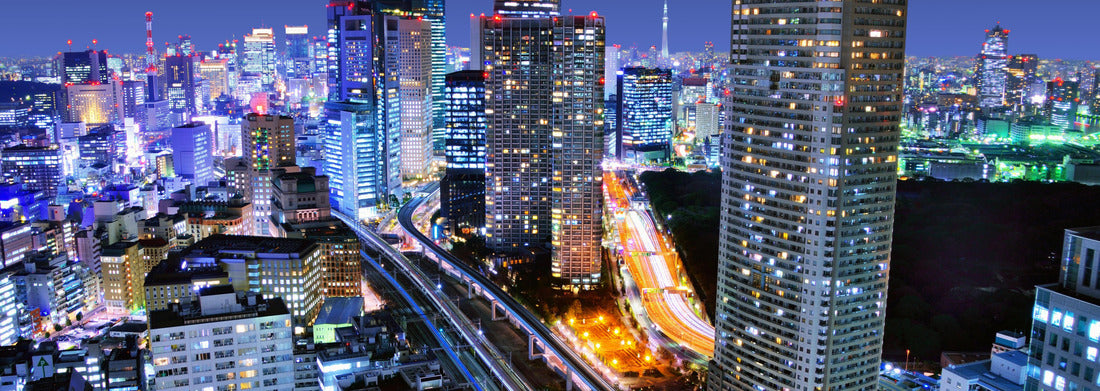 Noah Jigsaw Puzzle Dense buildings in Minato-ku, Tokyo Japan with Tokyo Sky tree visible on the horizon panorama 1000 pieces