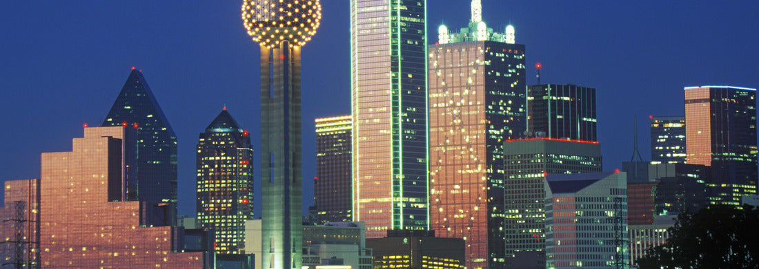 Noah Jigsaw Puzzle Dallas, TX skyline at night panorama 1000 pieces