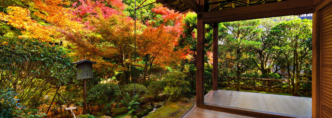 Noah Jigsaw Puzzle Fall foliage at Ryoan-ji Temple in Kyoto, Japan panorama 1000 pieces