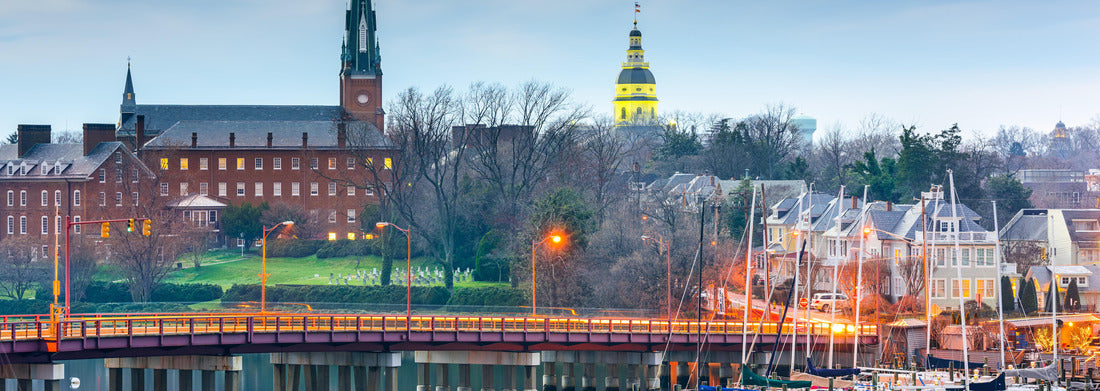 Noah Jigsaw Puzzle Annapolis, Maryland, USA State House and St. Mary's Church over Annapolis Harbor and Eastport Bridge panorama 1000 pieces