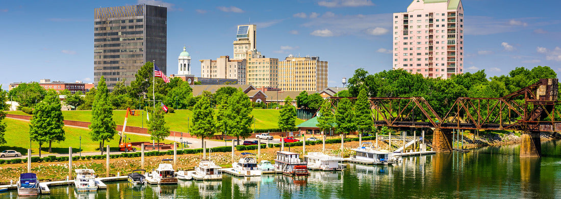 Noah Jigsaw Puzzle Augusta, Georgia, USA Downtown Skyline on the Savannah River panorama 1000 pieces