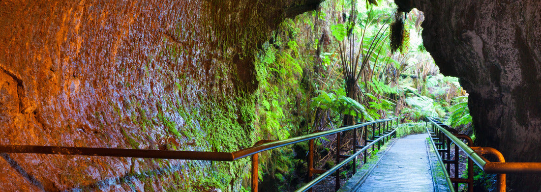 Noah Jigsaw Puzzle Entrance to Thurston Lava Tube in Hawaii Volcanoes National Park panorama 1000 pieces
