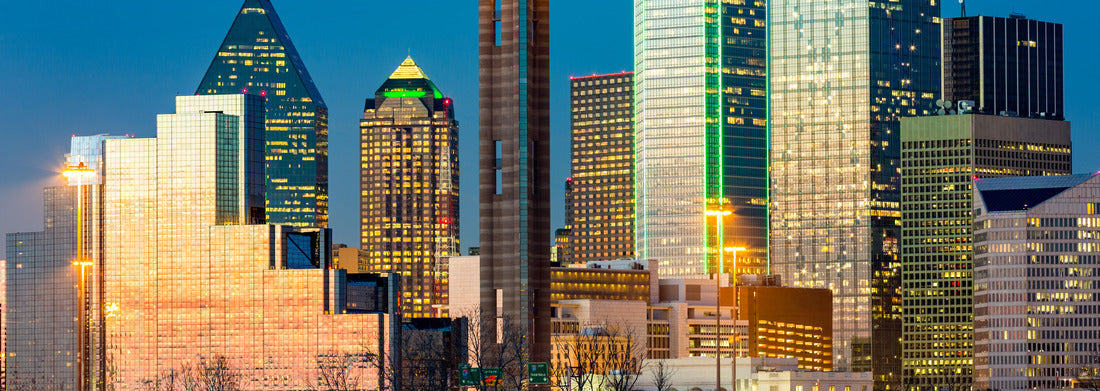 Noah Jigsaw Puzzle Dallas skyline at sunset panorama 1000 pieces