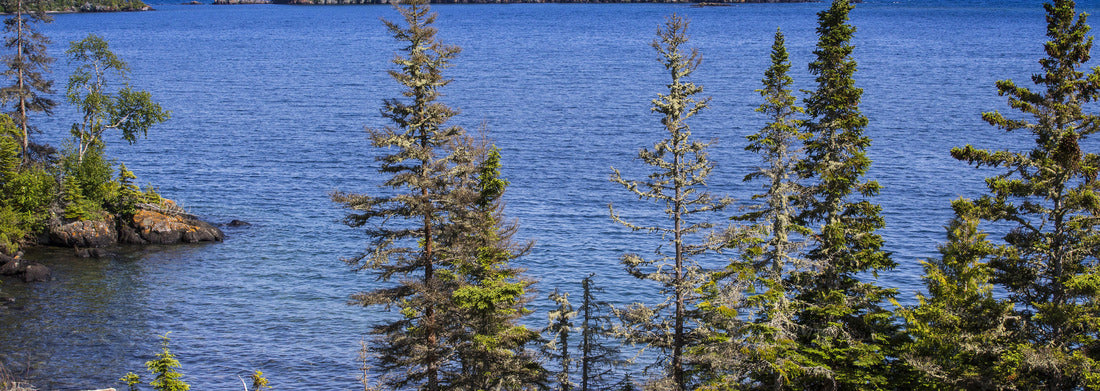 Noah Jigsaw Puzzle Lake Superior Shoreline, Isle Royale National Park, Michigan, USA panorama 1000 pieces