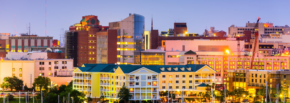 Noah Jigsaw Puzzle Charleston, South Carolina, USA skyline over the Ashley River panorama 1000 pieces