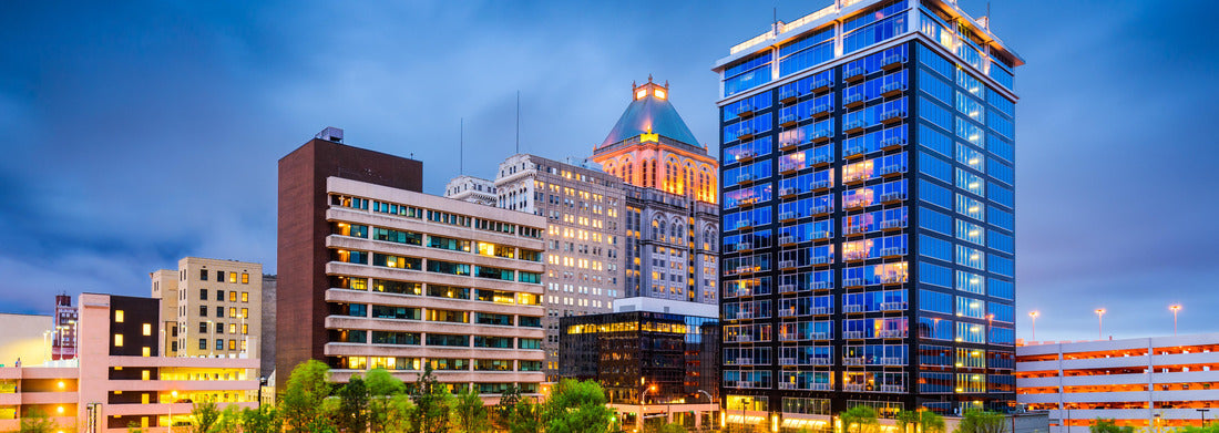 Noah Jigsaw Puzzle Greensboro, North Carolina, USA downtown city park and skyline panorama 1000 pieces