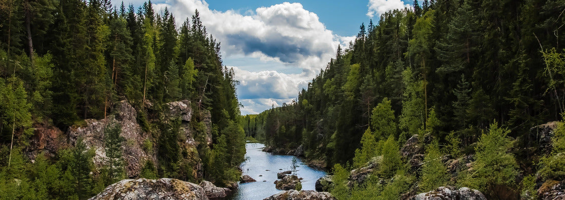 Noah Jigsaw Puzzle ''The Deadfall'', Sweden panorama 1000 pieces