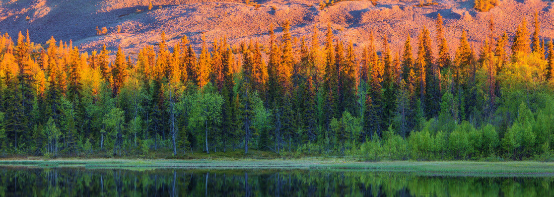 Noah Jigsaw Puzzle Lake near Luosto - Finland Panorama 1000 Pieces