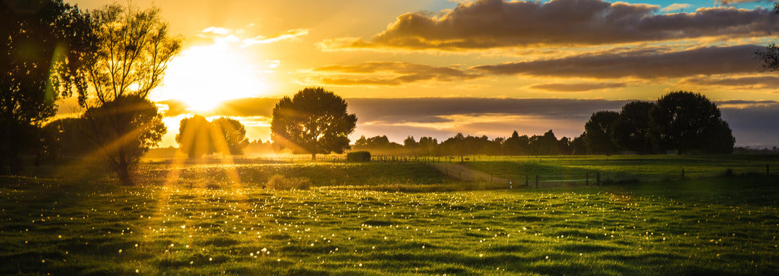 Noah Jigsaw Puzzle Dairy farm, New Zealand Panorama 1000 Pieces