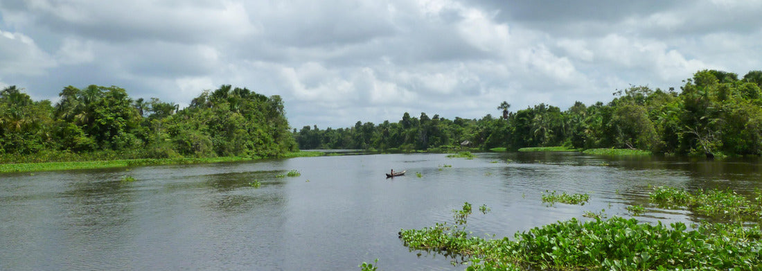Noah Jigsaw Puzzle Indigenous Warao people sailing on the Orinoco River. Delta Amacuro, Venezuela Panorama 1000 Pieces