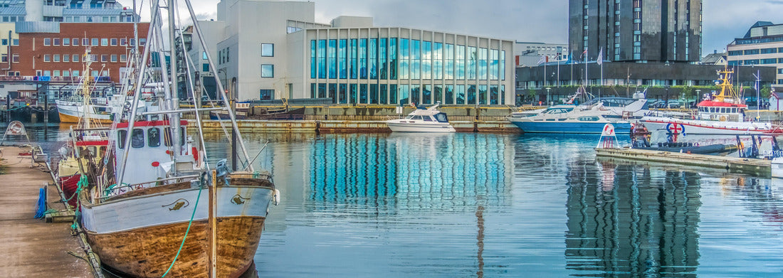 Noah Jigsaw Puzzle Bodø, capital of the county of Nordland, Norway Panorama 1000 Pieces
