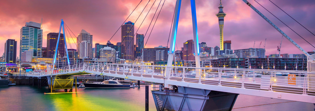 Noah Jigsaw Puzzle Auckland. Cityscape of Auckland skyline, New Zealand during sunrise Panorama 1000 Pieces