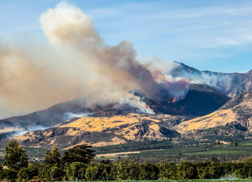 Thomas Fire Burns Above Fillmore in Ventura County California