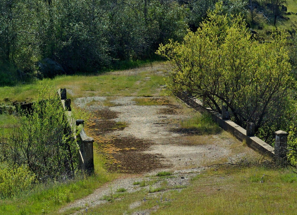 Old 1940's era bridge for the “Marysville Road” now used as footpath, Yuba County, California