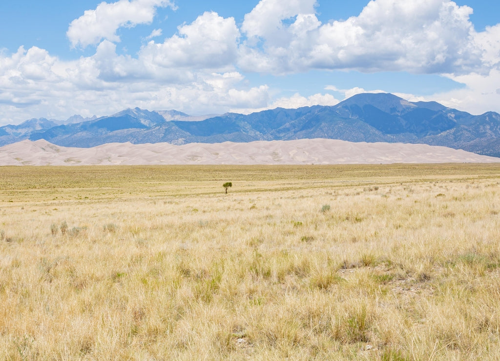 Desert in Alamosa County, Colorado, USA