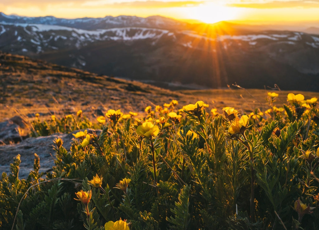 Sunset in the James Peak Wilderness, Colorado, USA