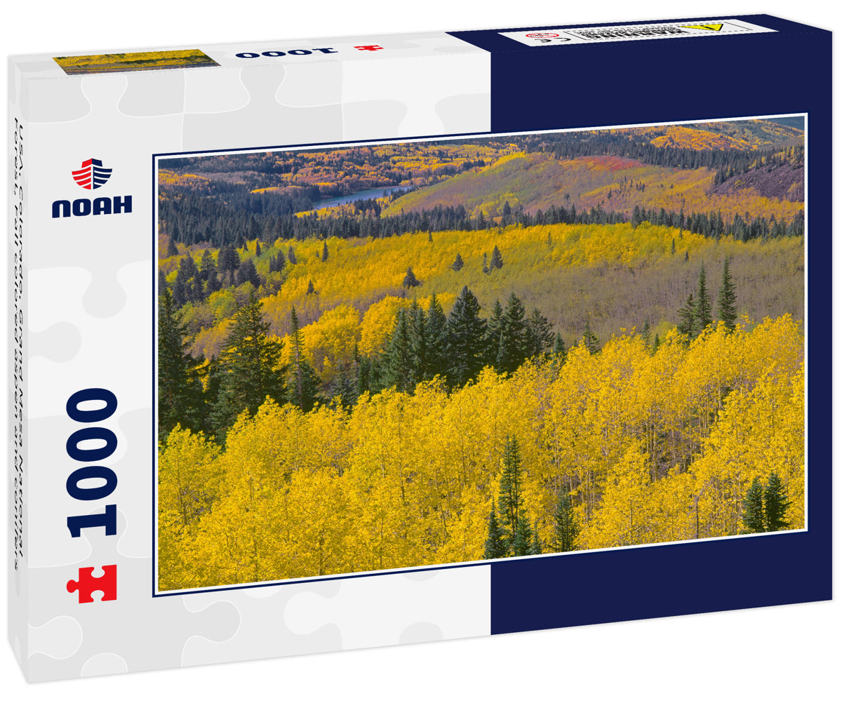 USA, Colorado, Grand Mesa National Forest, Fall colored aspen and conifers