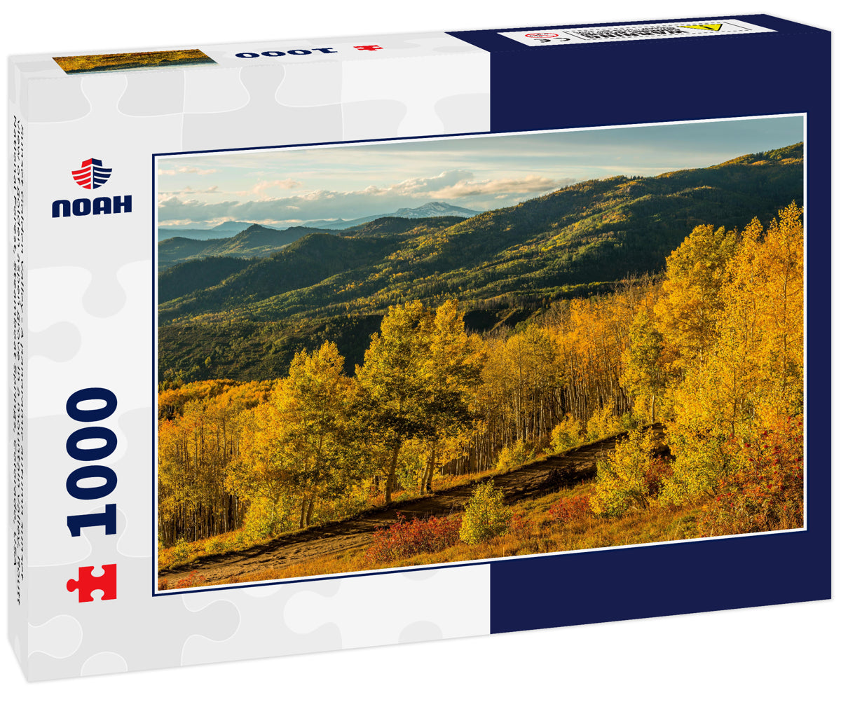 Sunset Golden Valley - A panoramic autumn sunset view of golden aspen grove in a mountain valley, Routt National Forest, Steamboat Springs, Colorado, USA