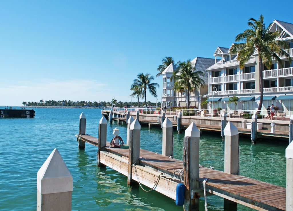 Palme, case, tipica architettura di Key West, molo, motoscafo, Key West, isole Keys, Florida, America, USA