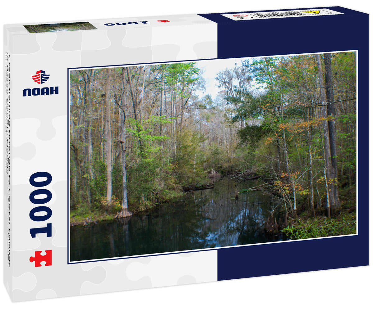 Creek flowing through to Crystal Springs in Pasco County Florida
