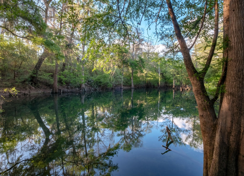 Blue Sink, Madison County, Florida