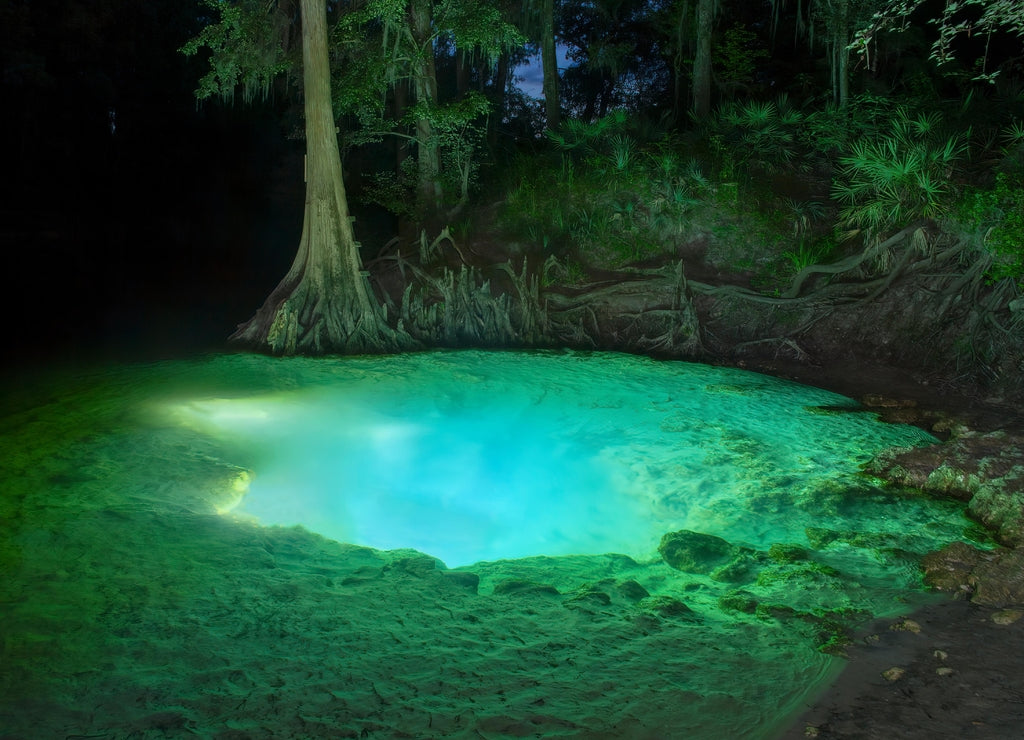 Pot Springs on the Withlacoochee River, Hamilton County, Florida