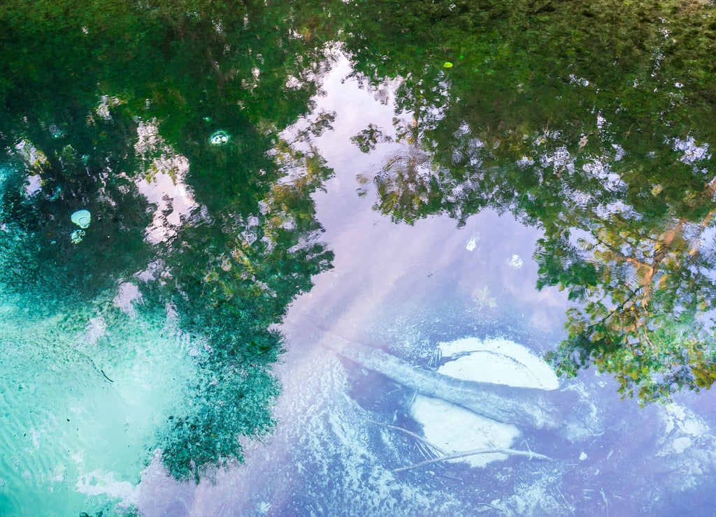 Still morning view of pristine crystal clear springs bubbling up in the sand of a tropical riverbed in Ocala, Florida, USA