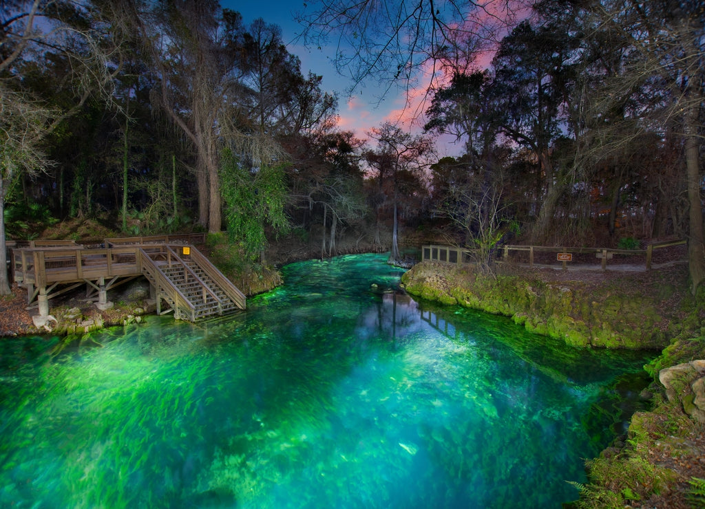 Madison Blue Springs at Night, Madison County, Florida