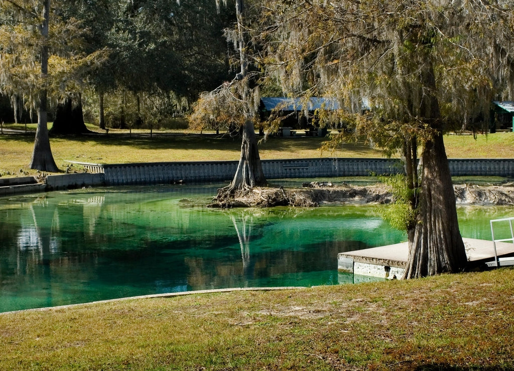 Winter Springs, Hart Springs, Trenton, Florida
