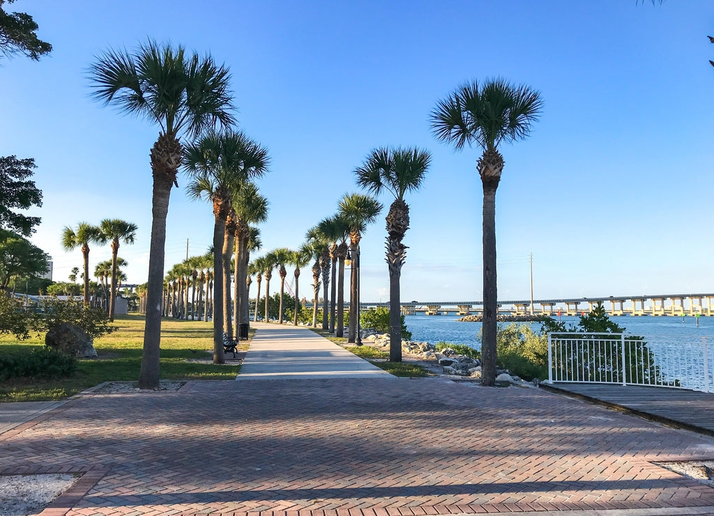 Fort Pierce, St. Lucie County, Florida, Waterfront walkway lined with palm trees along Indian River Drive. Sunny day, bridge in the background. Near downtown Fort Pierce
