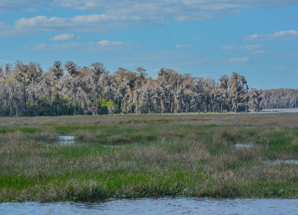 Beautiful view of Lake Louise in the wetlands of Clermont, Lake County, Florida
