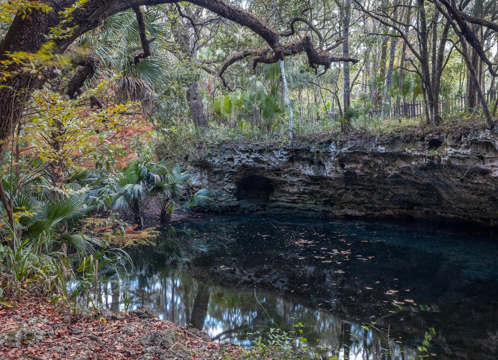 Scott Springs park in Ocala, Florida