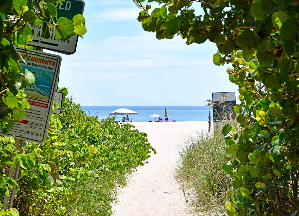 Sandy walkway with trees leading to Vero Beach, Florida on Hutchinson Island
